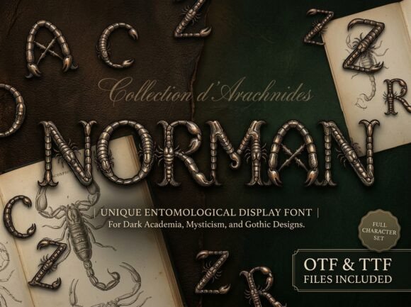 Norman: A Deep Dive into Ornate Victorian Typography